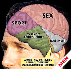 Men Are What Brain 106